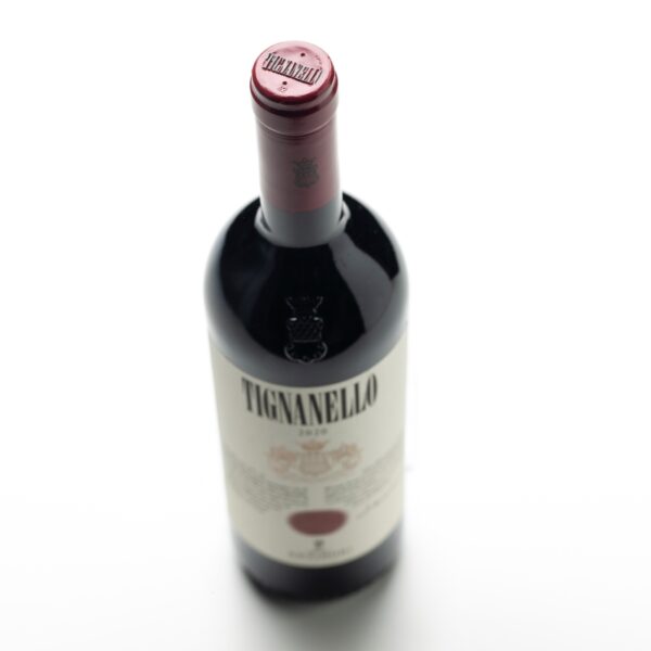 TIGNANELLO 2020 - Image 4