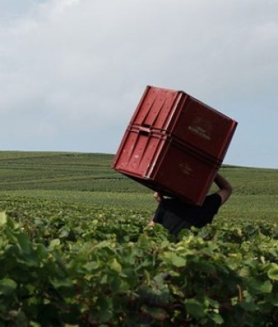 louisroederer